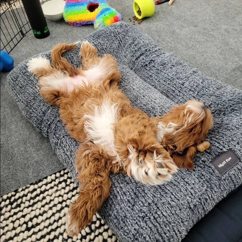 Hey Day Oatmeal Dog Bed - Extra Large